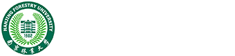 荷甲联赛官网